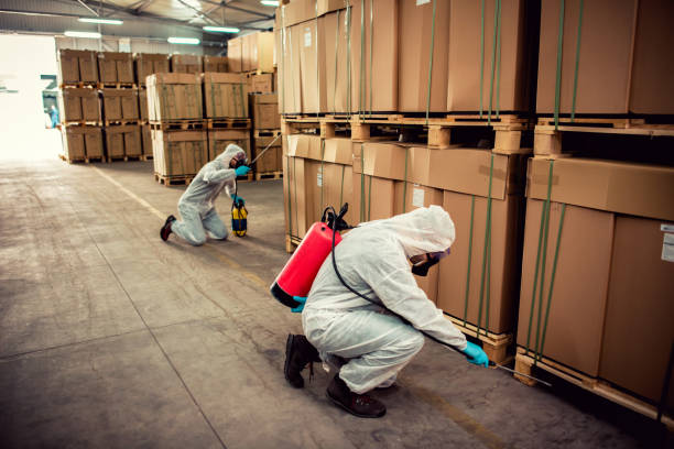 Best Pest Removal Services  in Window Rock, AZ
