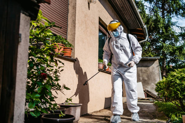 Best Affordable Pest Control Services  in Window Rock, AZ