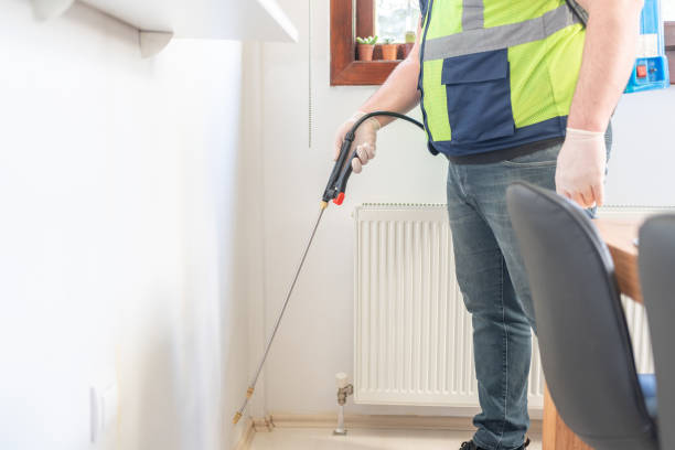Best Flea Control Services  in Window Rock, AZ